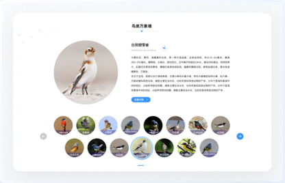 青海鳥(niǎo)類資源庫(kù)網(wǎng)站設(shè)計(jì)、交互設(shè)計(jì)、UI設(shè)計(jì)、鳥(niǎo)類資源庫(kù)網(wǎng)站設(shè)計(jì)、高端網(wǎng)站設(shè)計(jì)