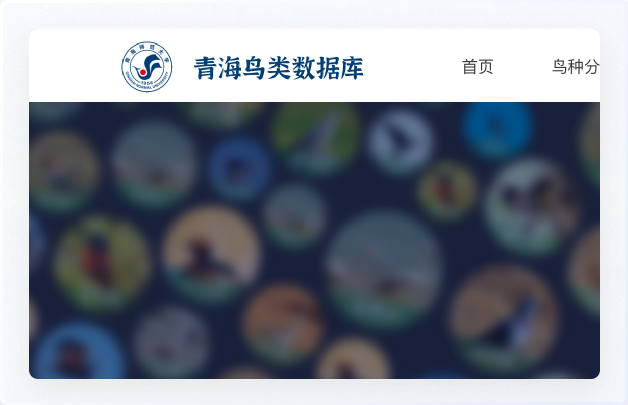 青海鳥(niǎo)類資源庫(kù)網(wǎng)站設(shè)計(jì)、交互設(shè)計(jì)、UI設(shè)計(jì)、鳥(niǎo)類資源庫(kù)網(wǎng)站設(shè)計(jì)、高端網(wǎng)站設(shè)計(jì)